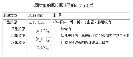 不同類型的原膠原分子的α肽鏈組成