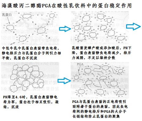 海藻酸丙二醇酯PGA在酸性乳飲料中的蛋白穩(wěn)定作用