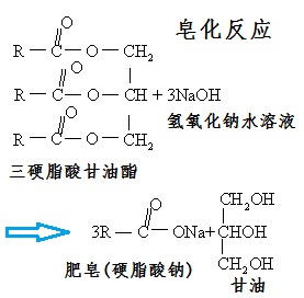 天然油脂皂化反應制備硬脂酸鈉