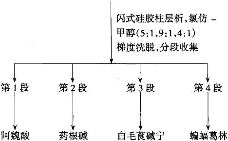 從夏天無(wú)里提取分離藥根堿的工藝流程圖