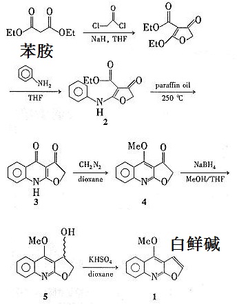 人工合成白鮮堿的反應(yīng)路線圖