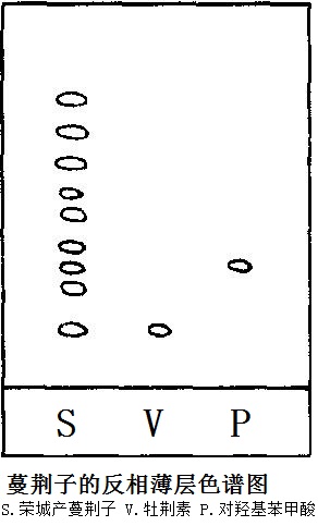 蔓荊子的反相薄層色譜圖