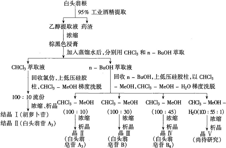 白頭翁皂苷A提取分離工藝流程圖