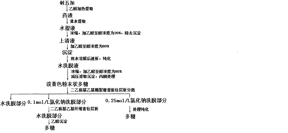 刺五加多糖提取工藝