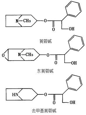 莨菪堿、東莨菪堿、去甲基莨菪堿結(jié)構(gòu)式