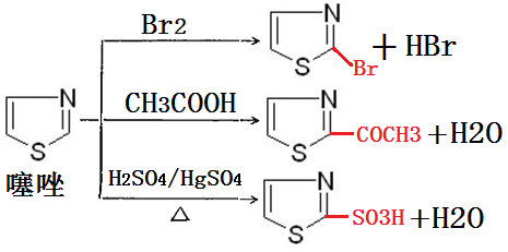 噻唑發(fā)生的親電取代反應