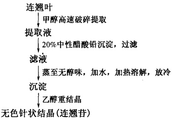 連翹苷提取分離