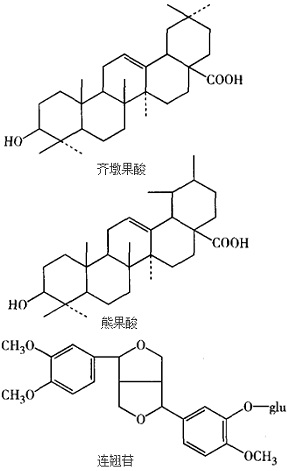 結(jié)構(gòu)式