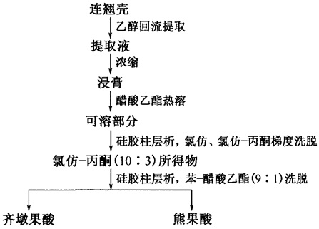 齊墩果酸、熊果酸提取分離