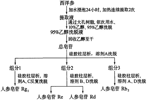 提取分離工藝圖