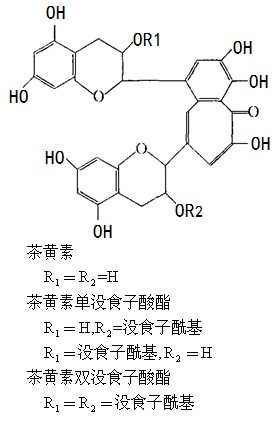 紅茶中的茶黃素類化合物結構式