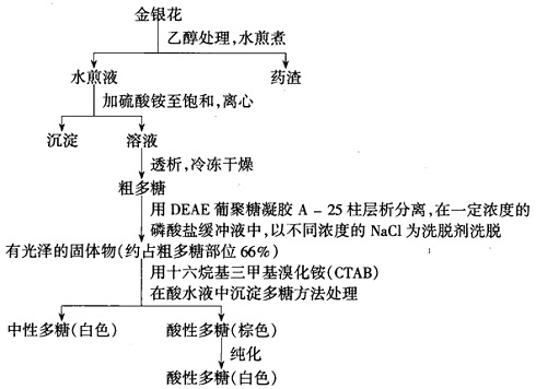 多糖提取分離