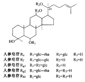 結構式