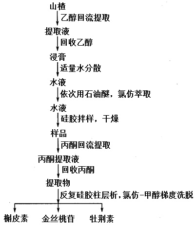 槲皮素、金絲桃苷、牡荊素提取分離