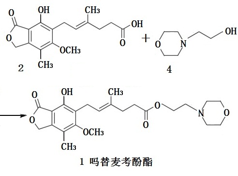 嗎替麥考酚酯合成