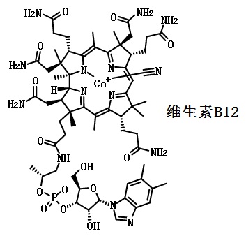 維生素B12的結(jié)構(gòu)