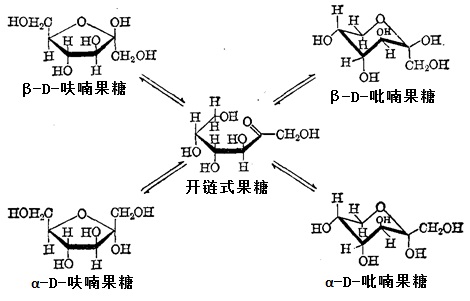 果糖分子