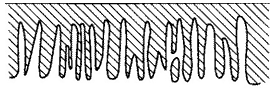 Micropores of activated carbon fibers