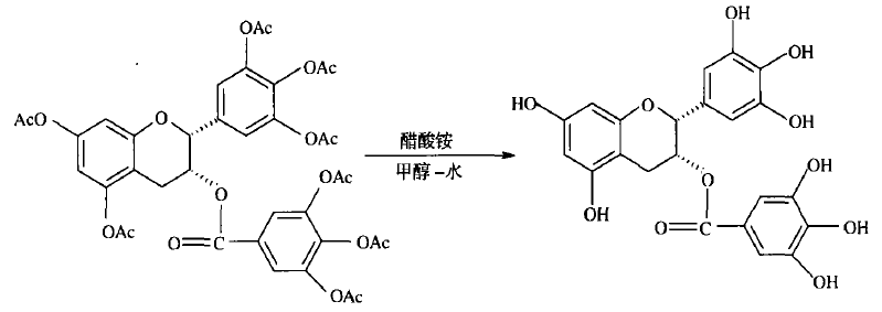 EGCG的脫酞基還原反應(yīng)過程(Chan等

人.2007)