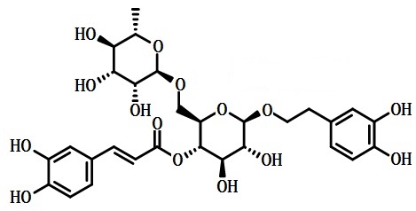 Forsythiaside A 