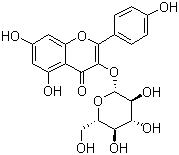 紫云英苷的結(jié)構(gòu)式