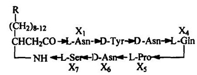 分子結(jié)構(gòu)