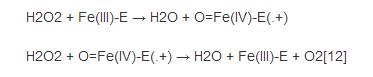 Catalytic process of Catalase