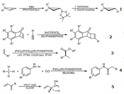 Reactions of 192463-40-4