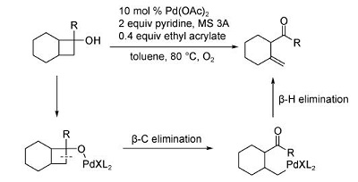 鈀催化的環(huán)丁醇開環(huán)反應(yīng)