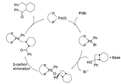 鈀催化的環(huán)丁醇開環(huán)反應(yīng)2