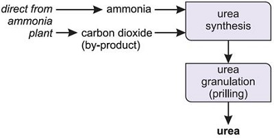 Industrial process of urea