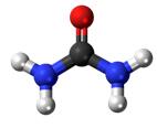 Ball-and-stick diagram of urea