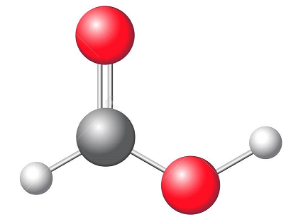 formic acid structure