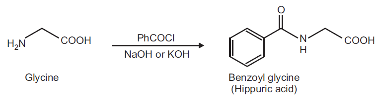 Preparation of Hippuric acid from Glycine