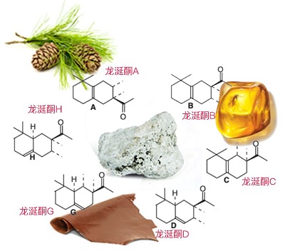 龍涎酮異構(gòu)體