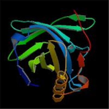 人Α1Β糖蛋白(Α1Β-GP)ELISA KIT