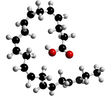 Docosahexaenoic Acid