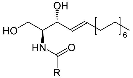 神經(jīng)酰胺 結(jié)構(gòu)式