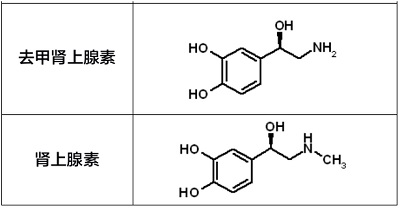 腎上腺素與去甲腎上腺素 結(jié)構(gòu)