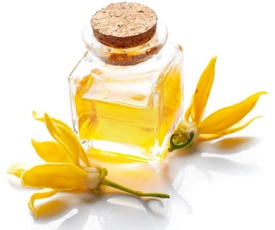 Ylang Ylang Oil.jpg