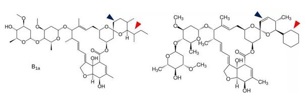 伊維菌素B1a（左）和多拉菌素（右）的結(jié)構(gòu)