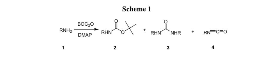 Boc2O/DMAP與Amines和Alcohols的副反應(yīng)