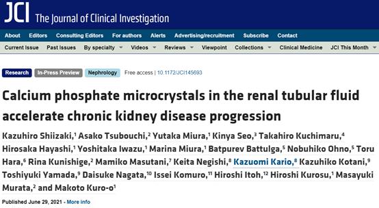 JCI: 磷酸鈣顆粒加速CKD進(jìn)程