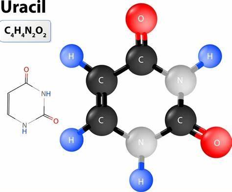 Uracil.jpg