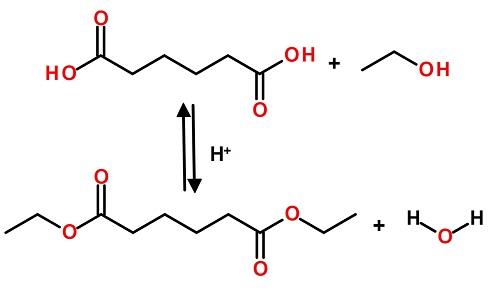 Synthesis of Diethyl Adipate