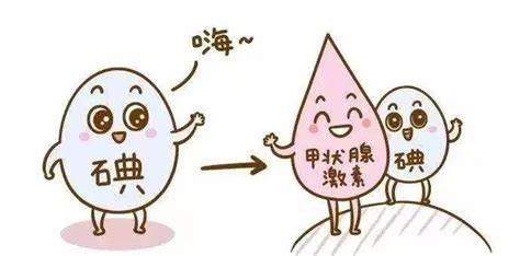 “碘”與甲狀腺之碘缺乏癥