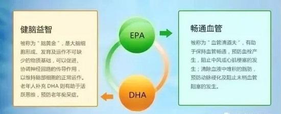 α－亞麻酸(ω-3)的強大作用