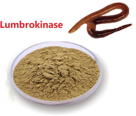 Lumbrokinase.jpg