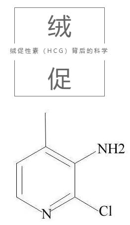 絨促性素