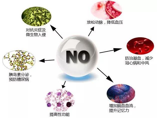 什么是L-精氨酸？有益于心臟健康和運(yùn)動表現(xiàn)